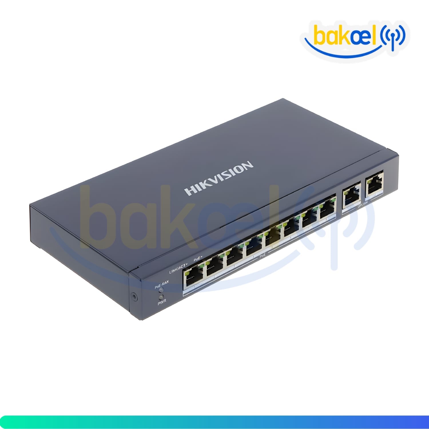 DS-3E0310P-E/M