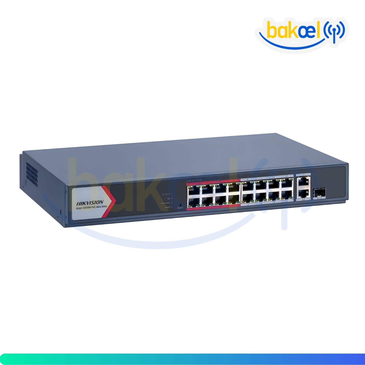 DS-3E1318P-EI/M