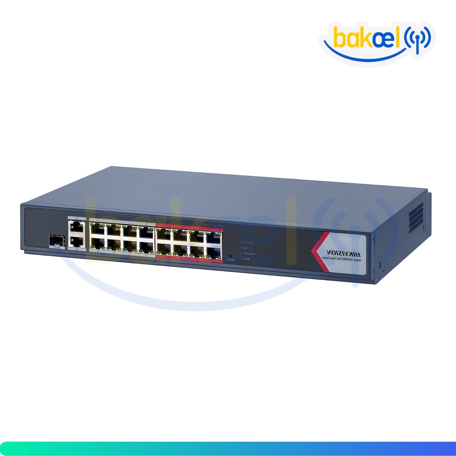 DS-3E1318P-EI/M 2