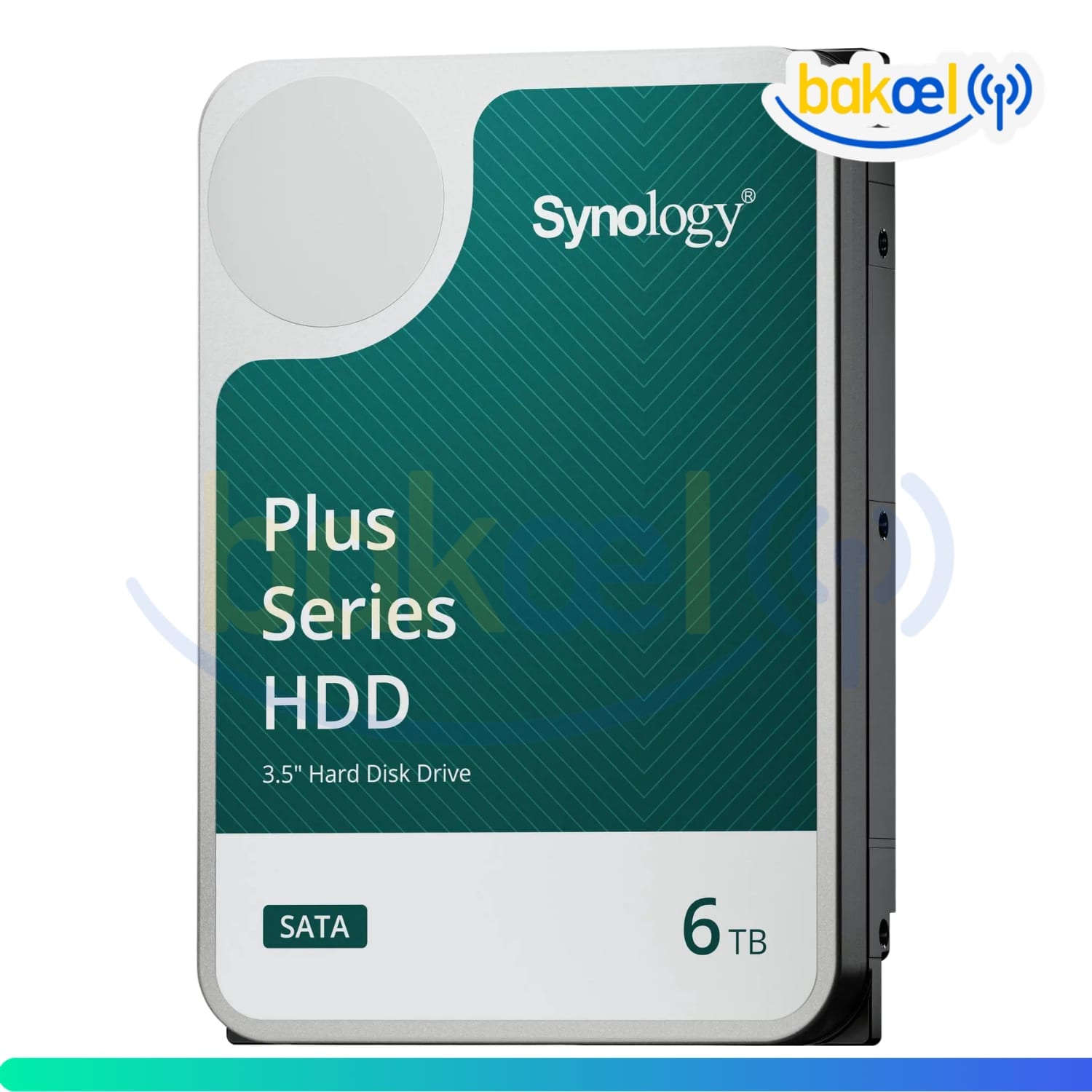 SYNOLOGY-HAT3300-6T 2